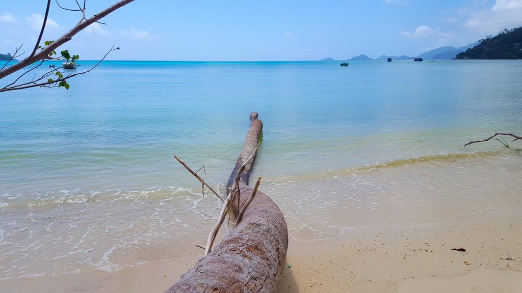 88 Days Self Catering Holidays & * Baie Lazare (Mahe)